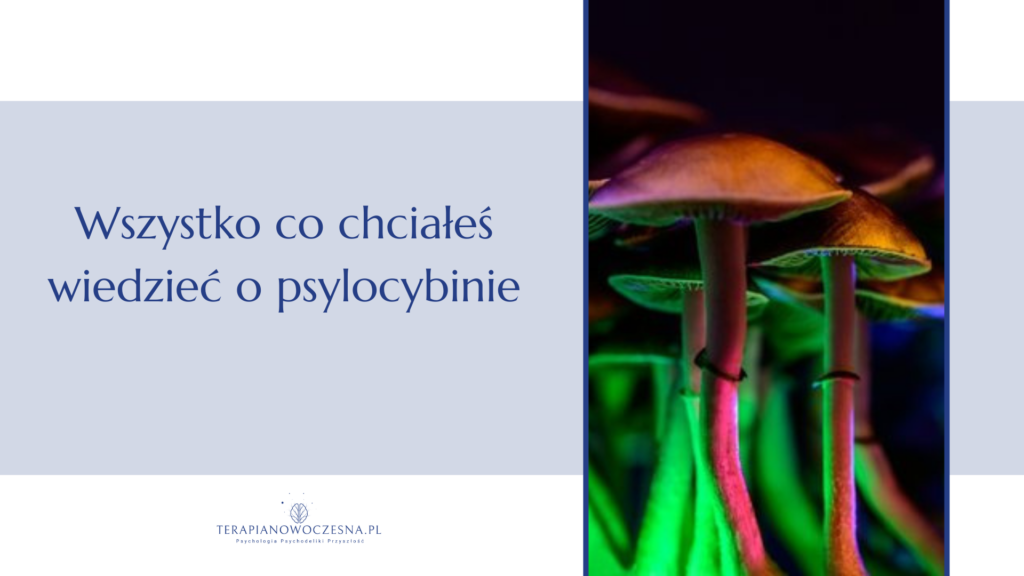 terapia psychodeliczna psylocybiną