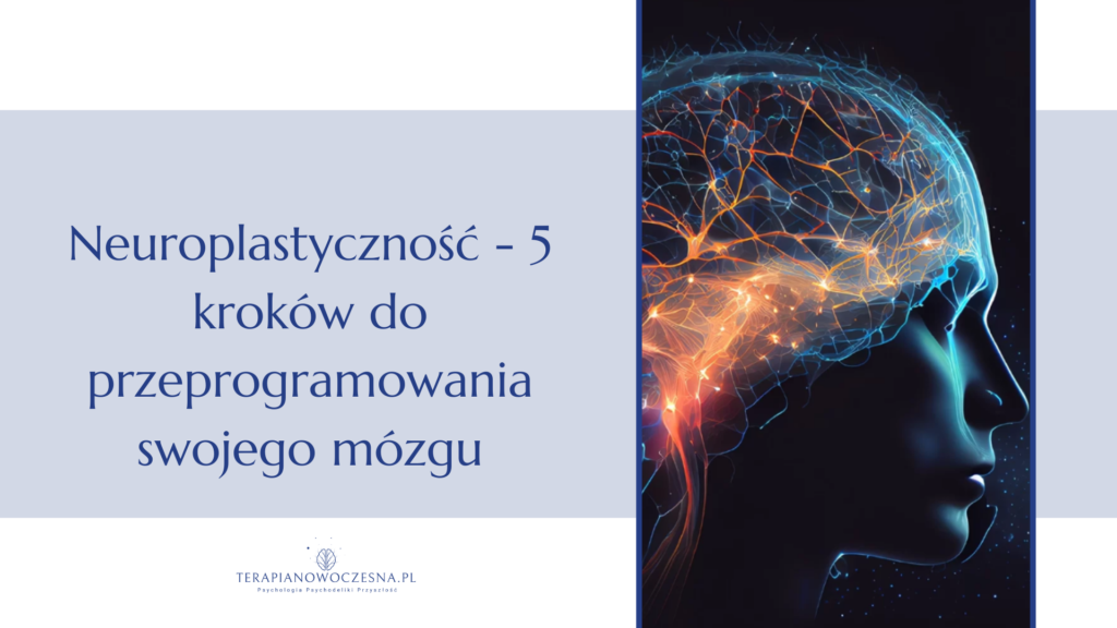 neuroplastyczność, jak zmienić swój mózg