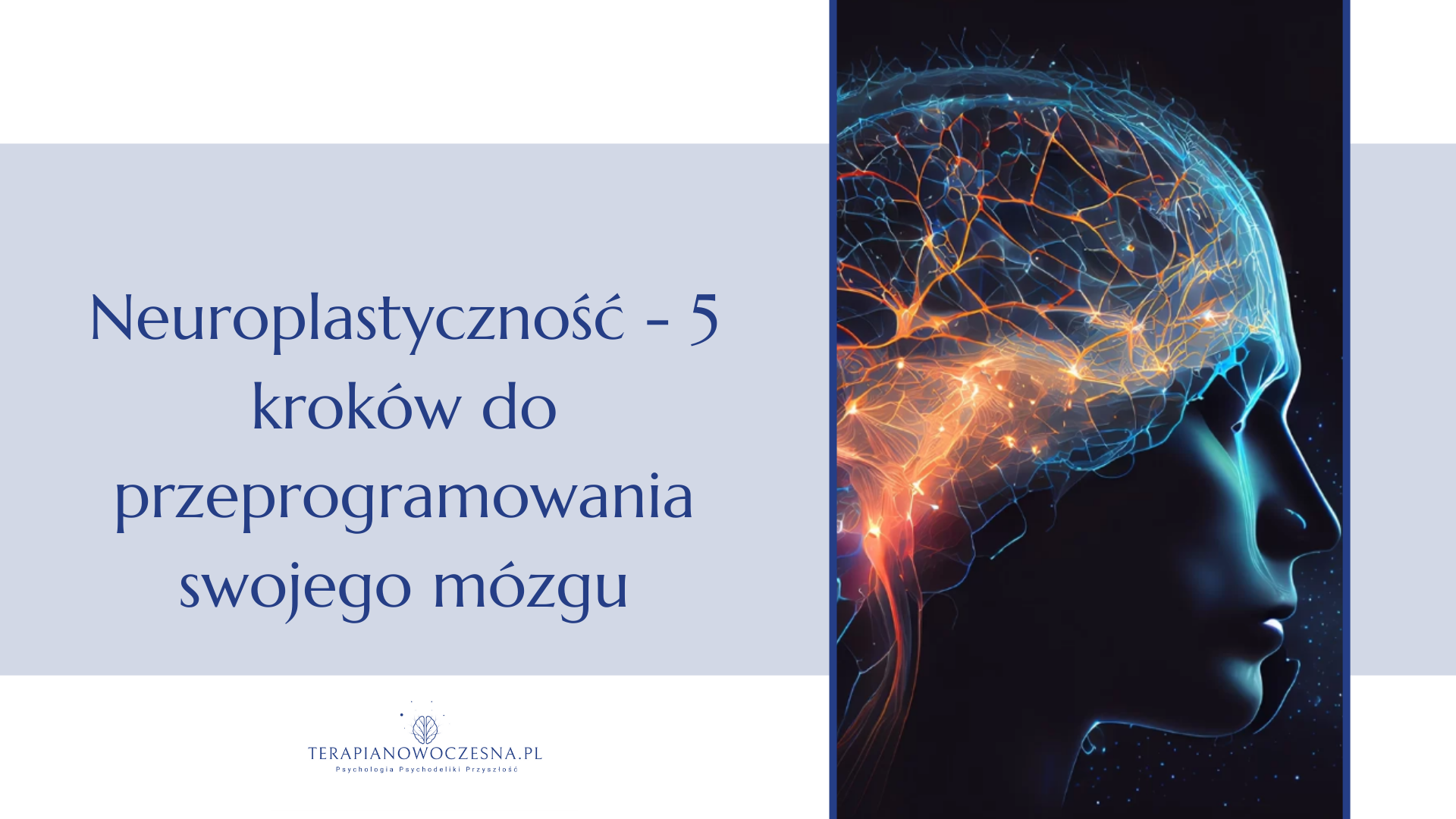 Neuroplastyczność – kompletny przewodnik: Od nauki do praktyki [Wszystko co musisz wiedzieć]